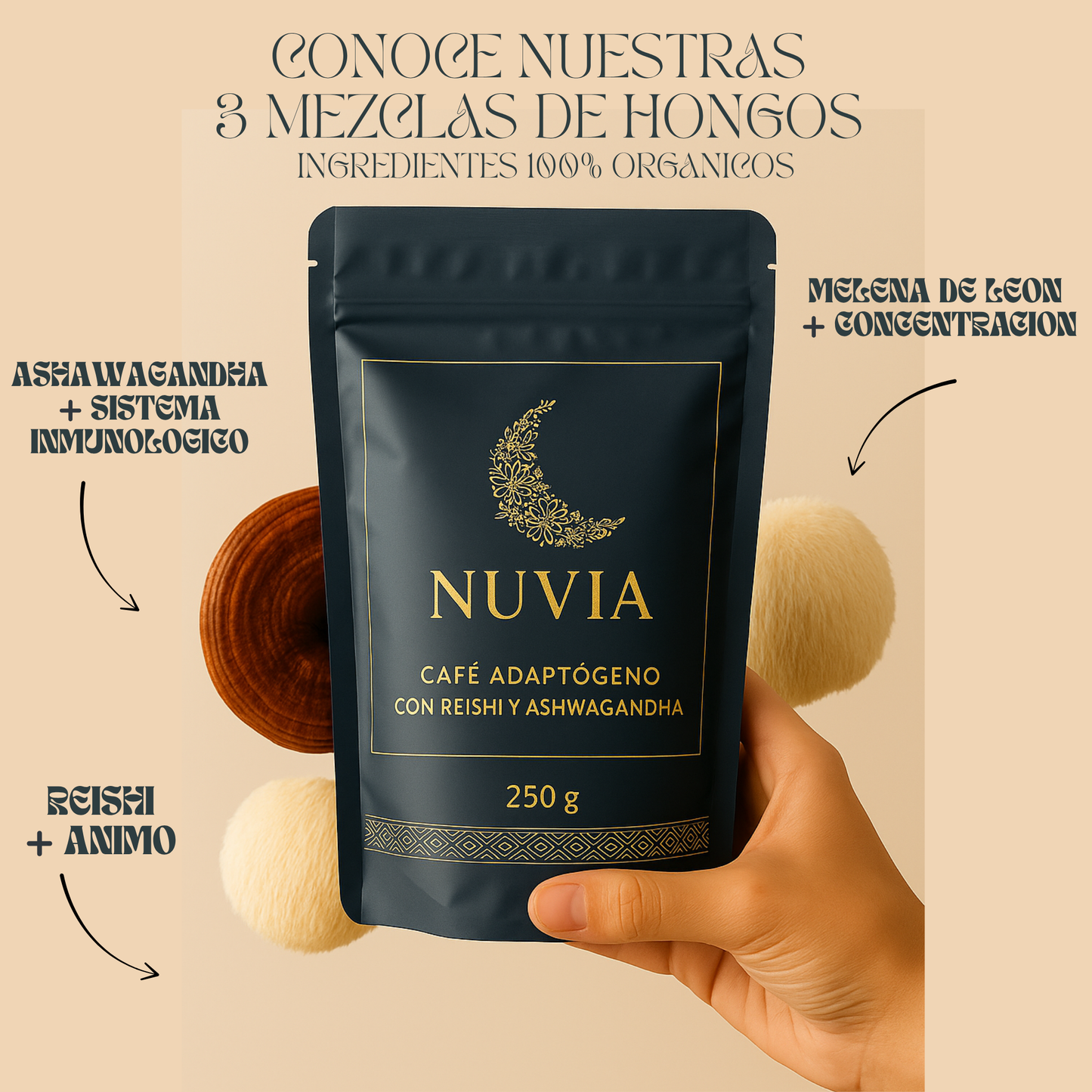 NUVIA - Coffee